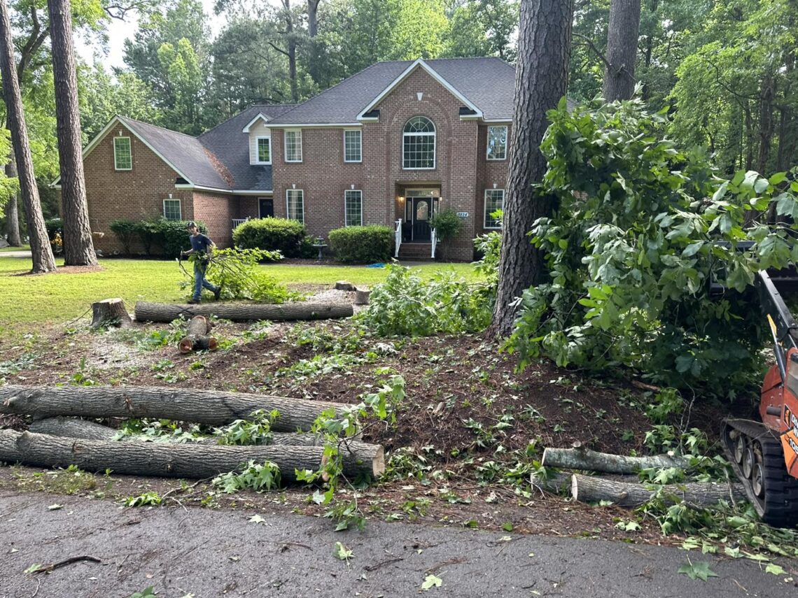 trees removal Services